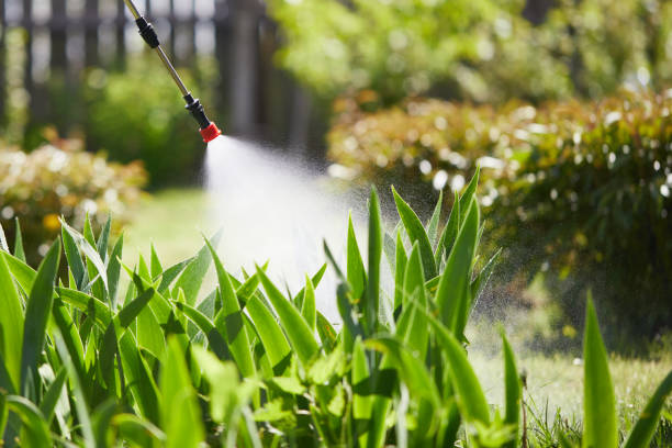 24/7 Emergency Wasp Removal experts in Alamo, GA