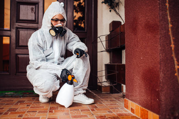 Reliable Wasp Removal contractor in Alamo, GA by Show Me Pest Control